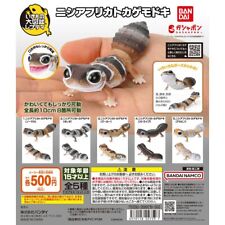 Gashapon Ikimono Encyclopedia African Fat-Tailed Gecko Capsule Toy Complete set picture