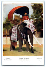 c1905 Royal Elephant State Railways Will Take You to Chiengmai Siam Postcard picture