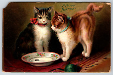 c1910s Happy Birthday Kitten Cat Milk Fly Art Vintage Postcard picture
