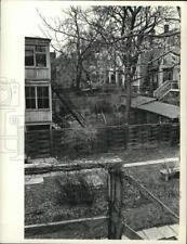 1975 Press Photo Back yards of homes in Albany, New York - tub12950 picture