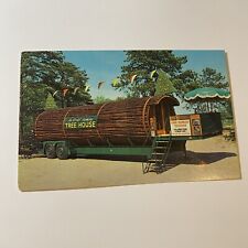 Giant California Redwood Treehouse Postcard UNP VTG picture