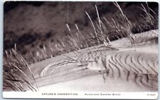 Postcard - Nature's Handwriting - Duneland Camera Study picture