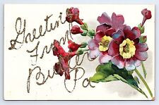 Postcard Greetings From Butler Pennsylvania Glitter Mica Embossed picture