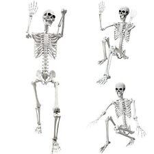 5.4Ft Halloween Life Size Human Skeleton with Movable Joints for Halloween Props picture