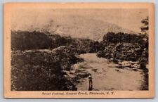 eStampsNet - Trout Fishing Esopus Creek Phoenicia NY Postcard  picture