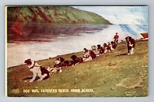 Yukon River, AK-Alaska, Dog Mail Carriers Antique, Vintage Souvenir Postcard picture