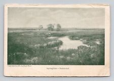 Postcard Springtime in Nantucket Massachusetts MA, Antique D15 picture