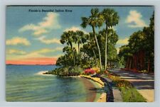FL-Florida, Florida's Beautiful River, Scenic View, Vintage Postcard picture