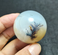 TOP 95 G 41MM Natural Polished Aquatic Plants Agate Crystal Sphere Ball EE225 picture