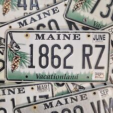 MAINE CHICKADEE LICENSE PLATE 🔥FREE SHIPPING🔥 ~ 1 w/RANDOM LETTERS & NUMBERS  picture
