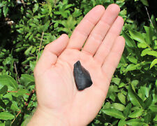 Shungite Raw Natural Stones: Choose How Many Pieces (EMF Protection, Rough) picture