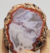 Polished Moroccan Berber Agate Nodule picture