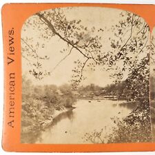 Central Park Lake & Terrace Stereoview c1870 New York City Manhattan Photo B1928 picture
