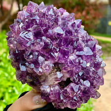 319G Very Rare Natural Amethyst Flower Cluster Specimen Healing picture