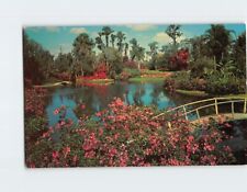 Postcard Cypress Gardens Florida USA picture
