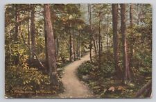 In Sullivan Springs Mt. Pocono Pennsylvania c1910 Antique Postcard picture