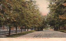Vintage Postcard 1908 Looking North From Weston's Residence Main Str. Necedah WI picture
