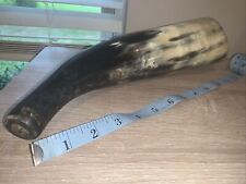 Natural Bull Cow/Steer Horn Polished  10