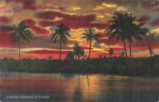 Punta Gorda Florida, Beautiful Sunset Palm Tree Silhouettes, Vintage Postcard picture
