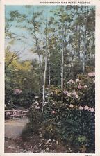 Rhododendron Time Poconos Pennsylvania PA 1934 Stroudsburg Postcard C05 picture