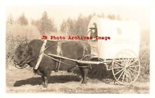 WA, Colville, Washington, RPPC, Catalo Drawn Wagon on Grandview Ranch picture