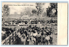 c1910 Clarke's Horse Sales Miles Ciy Montana MT Business Section Postcard picture