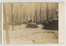 1912 kids in forest, winter snow, Denton Township, Michigan; photo postcard RPPC picture