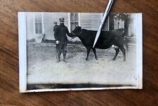 Antique 1910s Man & Black Cow Steer Real Photo Postcard Farming picture