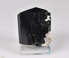 Lustrous Black Schorl Tourmaline from Erongo, Namibia 4.5 cm   # 17792 picture