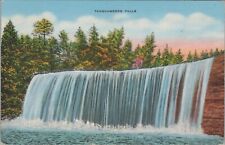 Tahquamenon Falls Northern MI Michigan's Niagara 1940s postcard F183 picture