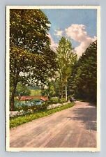 Biltmore Estate NC-North Carolina, Bridge over Bass Lake, Vintage Postcard picture