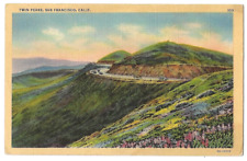 San Francisco California c1940's Twin Peaks Boulevard, vintage car, flowers picture