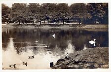 RPPC - Swans & Ducks on Lake Leipzig Germany Unposted Postcard picture