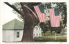 Waterloo NY New York, Historic Scythe Tree American Flags, Vintage Postcard picture