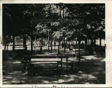 1934 Press Photo Euclid Creek picnic area at Cleveland Ohio picture