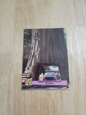 1992-93 Pro Set Club Pro Set These United States Silver REDWOODS #4 Card picture