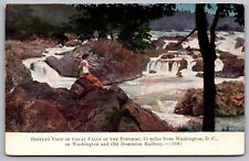 Distant View Of Great Falls Of Potomac Washington DC UNP Postcards picture