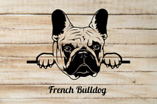 French Bulldog Peeking Out Window - Vinyl Decal Sticker - Can Be Customized picture