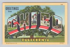 Postcard Greetings from Chico California Large Letters picture