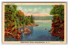Scenic Greetings from Phillipsport NY c1940 Vintage Postcard picture