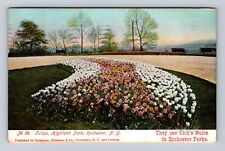 Rochester NY-New York, Tulips, Highland Park, Antique, Vintage c1907 Postcard picture