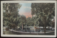 Vintage Postcard 1922 Lake in Sanitarium Park, Clifton Springs, New York picture