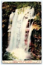 1906 Onoko Falls Glen Onoko Lehigh Valley Railroad Sellersville PA Postcard picture