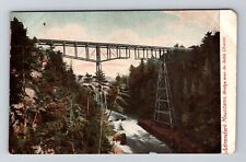 Adirondacks NY-New York, Bridge over Au Sable Chasm Vintage Souvenir Postcard picture