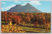 Linville North Carolina, Grandfather Mountain Autumn Colors, Vintage Postcard picture