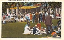 Postcard States Societies Picnic Grounds Bixby Park Long Beach California~128640 picture