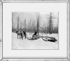 1880-1899 Photograph: Logging in Michigan, the sled Subjects: Lumber industry, S picture