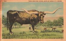 Postcard Texas Long Horn Steer Horns 9 ft 6 in. TX Linen Card picture