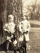 VD Photo 1932 Boys Brothers Walking Family Dog Boston Terrier Dog picture