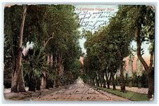 1907 Scenic View California Pepper Drive Street Road Trees California Postcard picture